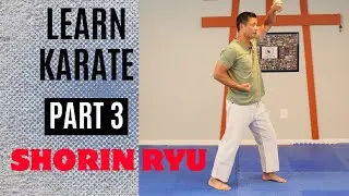 Martial Arts Tutorial | Shorin Ryu | Part 3 (Fukyugata Ni Kata)