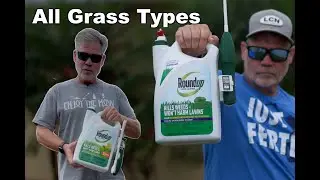 Best Weed Killer for Homeowners - All The Details You Need to Spray Safely