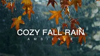 10 Hour  🍂🍁 Cozy Autumn Rain Ambience | Fall Leaves 🍂🍁 | Sounds for Relaxation | Meditation | Sleep