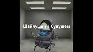 Шайлушай в будущем 