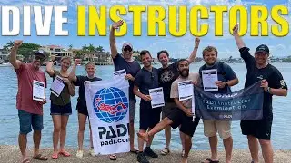 How To Become A PADI Dive Instructor