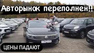 АВТОРЫНОК МАЛИНОВКА МИНСК ОБВАЛ ЦЕН