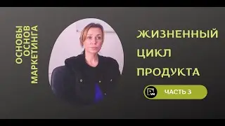 Жизненный цикл товара - Основы основ маркетинга (3 часть)