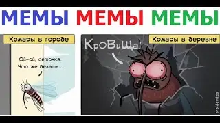 100 лютых МЕМОВ. Комары в городе VS комары в ДЕРЕВНЕ