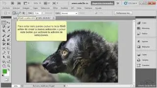 Curso de Photoshop CS5. 6.1. Selecciones de marco.
