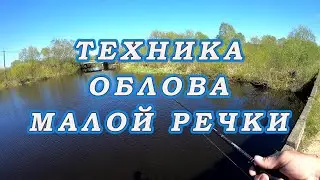 Тактика ОБЛОВА Малой речки! Правильно УГОВОРИТЬ Пассивную ЩУКУ!