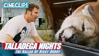 Getting Attacked By A Cougar | Talladega Nights | CineStream