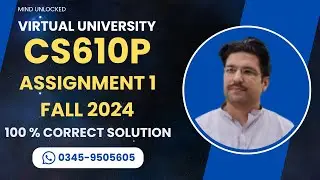 CS610P Assignment 1 solution Fall 2024 | CS610P Assignment 1 100% correct solution Fall 2024