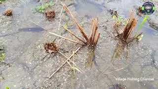 Fishing in Rainy Season-Fishing in After Rain l Fishing Media