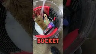 Wheel Bucket Essentials!