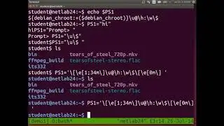 Bash Scripting in Linux Command line   For Beginners