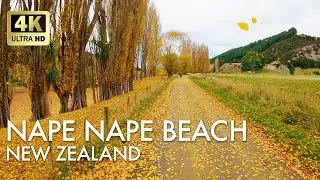 V-Strom 650 & KLR650 | Nape Nape Beach & St Leonards - Kaiwara Road, NZ | Adventure Riding NZ 2021