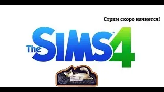 Играем в The SIMS 4. ТАЛАНТЛИВЫЙ ПИСАТЕЛЬ