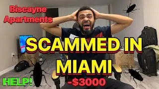 STORY TIME I GOT SCAMMED IN MIAMI, MY FIRST 48H EXPERIENCE AFTER MOVING 😭