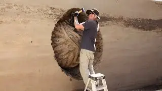 Satisfying Workers Doing Their Job Perfectly | Best Of The Autumn | Compilation