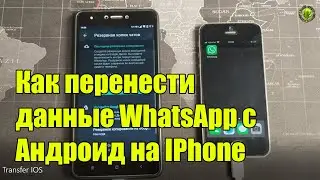 Как перенести данные WhatsApp с Андроид на IPhone и с IPhone на Андроид