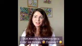 Жизнь с ног на голову...