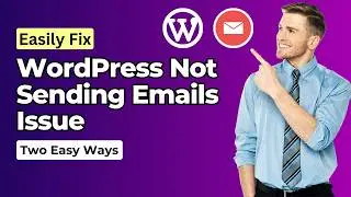 How to Fix WordPress Not Sending Email Issue | WordPress Tutorial for Beginners