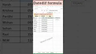 Age calculator in excel ! #excel #excelformulas #microsofttips #exceltricks #exceltips #shortsfeed