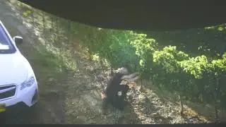 Винодельня 