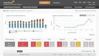 Beseitigung langsamer Applikationsperformance mit Database Performance Analyzer