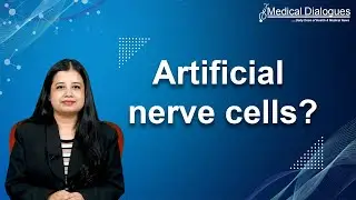 Artificial nerve cells showing characteristics close to biological