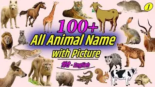 100 Animals Name in Hindi and English with picture and spellings | 100 Wild animals name list a to z