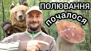 ГРИБНИЙ АЖІОТАЖ На Житомирщині поперли весняні гриби ПОЛЮВАННЯ ПОЧАЛОСЯ