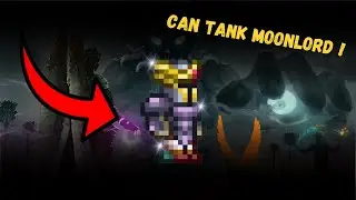 Terraria: BEST Melee TANK Build ??? (1.4.4.9)