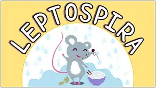 Leptospirosis: Microbiology, Diagnosis, Treatment, & Prevention