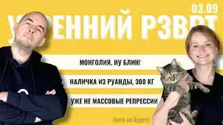 РЗВРТ | Монголия, ну блин! Наличка из Руанды, 300 кг. Уже не массовые репрессии | 03.09.2024