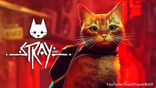 Stray - Full Game Walkthrough 100% 🐈 (Longplay) [2K 60FPS]