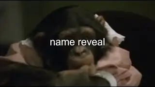 MONKE NAME REVEAL