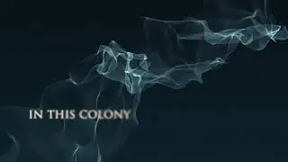 Joy Division - Colony (Official Lyric Video)