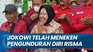 Surat Pengunduran Diri Risma Sudah Diteken Jokowi, Lepas Jabatan Menteri Sosial