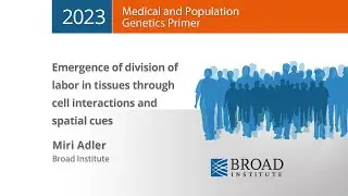 MPG Primer: How cells divide labor using communication and spatial cues (2023)