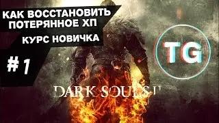 Как восстановить потерянное HP/здоровье - Dark Souls 2