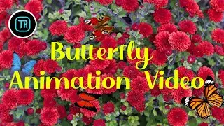 How to create Butterfly animation video in After Effectes Video