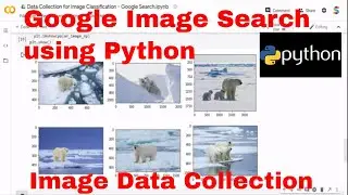 Data Collection for Image Classification using Python -  Google Images