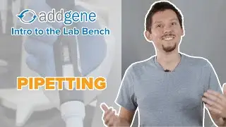 Pipetting - Intro to the Lab Bench