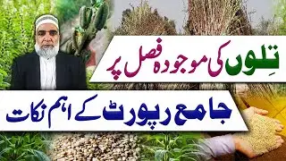 Key points of a detailed report about Sesame crop of 2024 || Crop Reformer