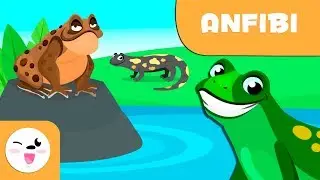 Gli anfibi per bambini - Animali vertebrati - Scienze naturali per bambini