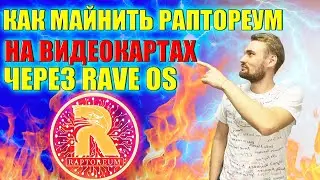 Майнинг РАПТОРЕУМ на ВИДЕОКАРТАХ через Rave OS | Гайд: быстрая настройка майнинга раптореум