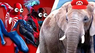 Super Mario Wonder + Spider-Man 2 (DOUBLE REVIEW)