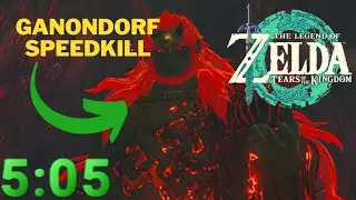 Demon King Ganondorf Speedkill 5:05s (v1.2.1) - Zelda TotK