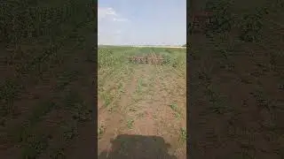 3 июля 2024 г.