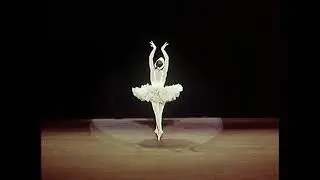 Умирающий лебедь Уланова Боярчиков архив