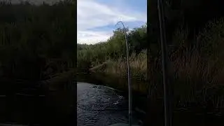 НОРМАЛЬНО ПОКАТАЛА МАМОЧКА! short 