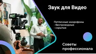 Звук для Видео - Беспроводные петличные микрофоны Sennheiser