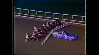 1984 Meadowlands - Niafirst & Clint Galbraith